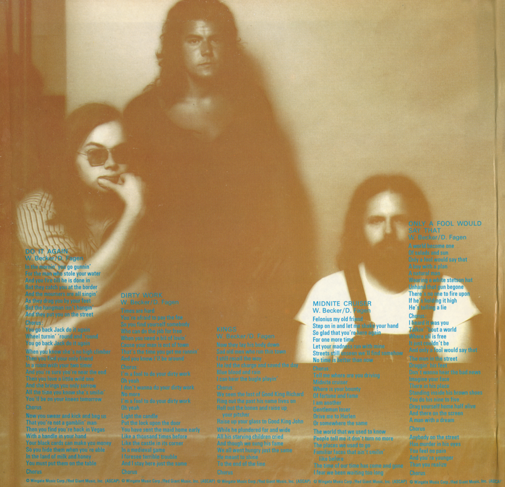Steely Dan Can’t Buy a Thrill Vinyl Album Steely Dan Can’t Buy a Thrill Vinyl Album