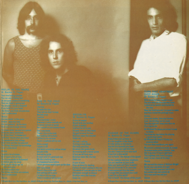 Steely Dan Can’t Buy a Thrill Vinyl Album Steely Dan Can’t Buy a Thrill Vinyl Album